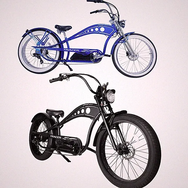 Electric Bike 750W 48V/20AH Disc Brake Fat Tire e bike E Bicycle for Adult