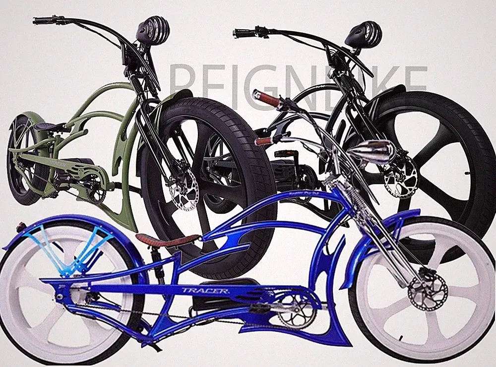 Tracer Raptor Pro DS Electric Bike 800W 48V 20Ah Fat Tire Stretch