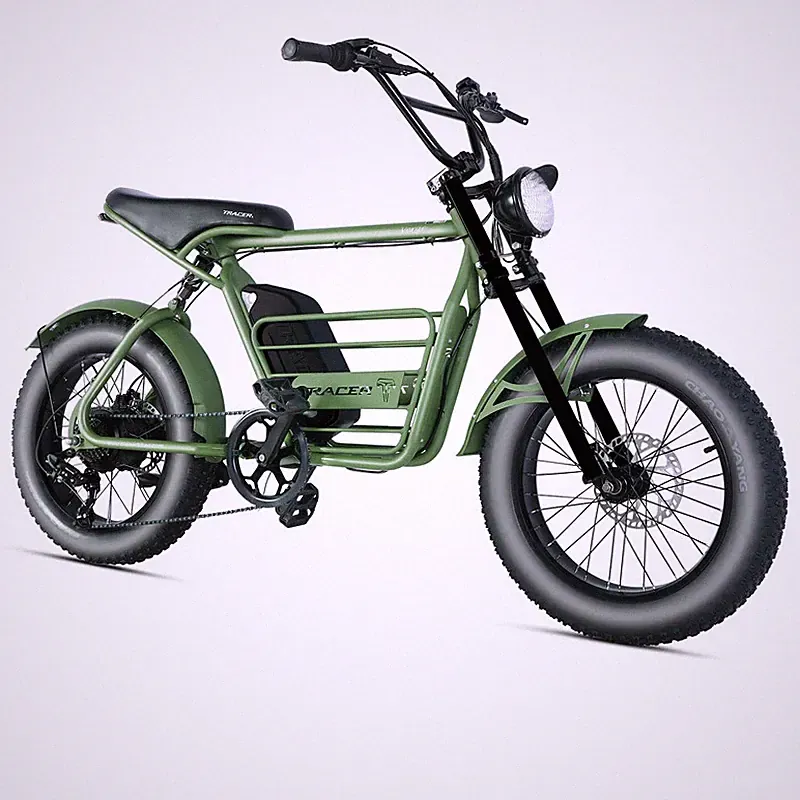 Tracer Verge 800W Mens Ebike 20"X4.0 Fat Tires Electric Bike 48V/17.5Ah 28MPH